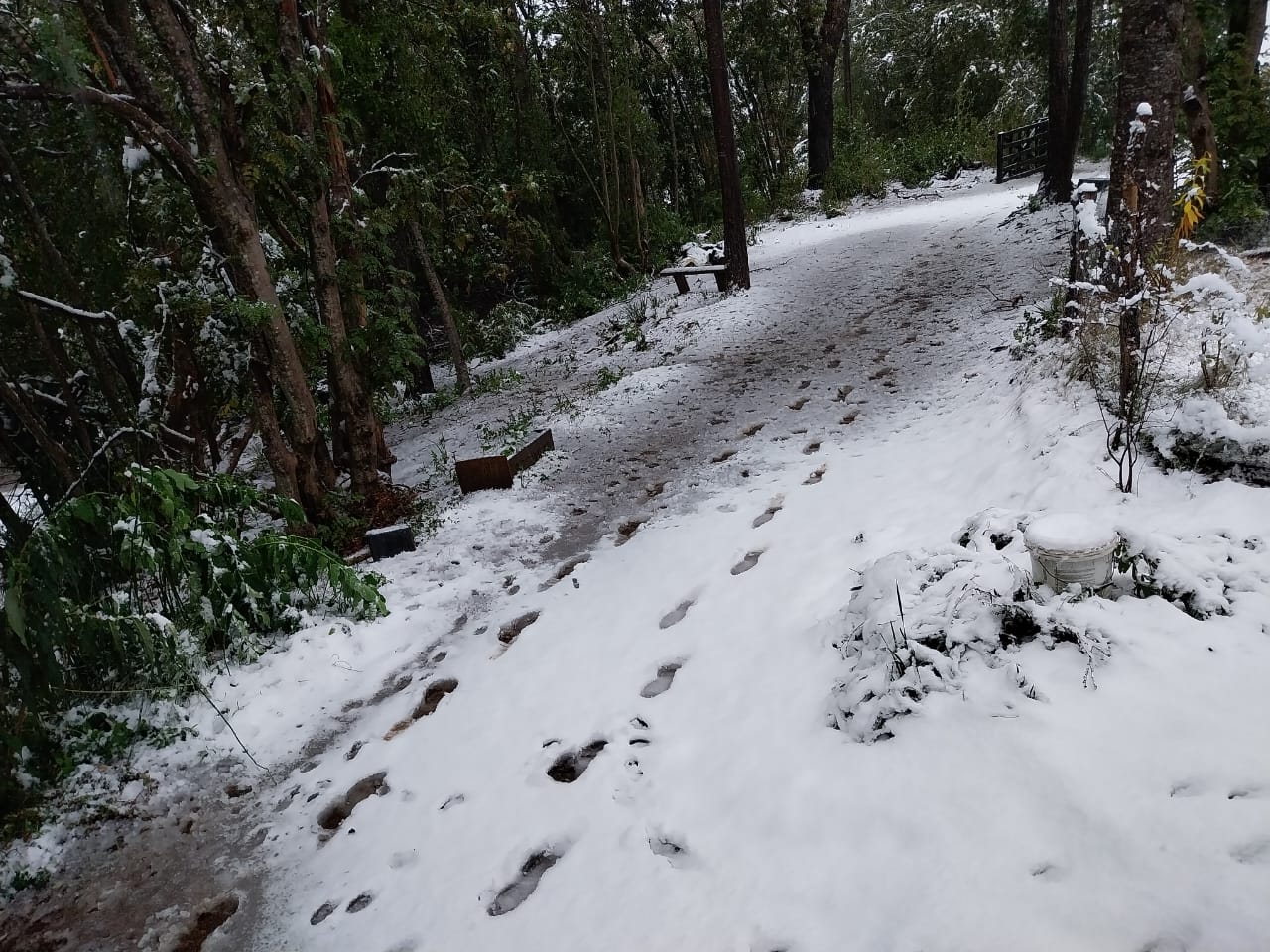 Fuertes nevadas se registraron en la Provincia del Biobío