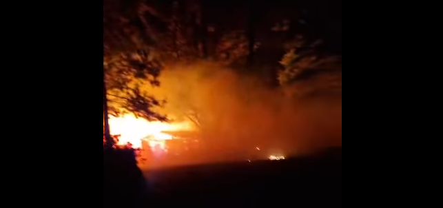 Declaran Alerta Roja en Tucapel por incendio forestal en Las Lomas