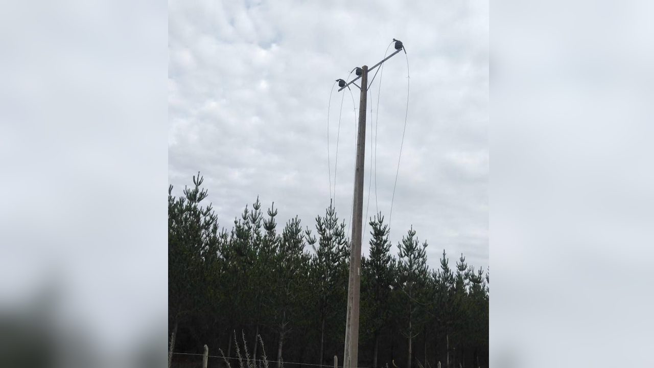 Frontel informa robo de 3 mil metros de cable en sector de Tucapel